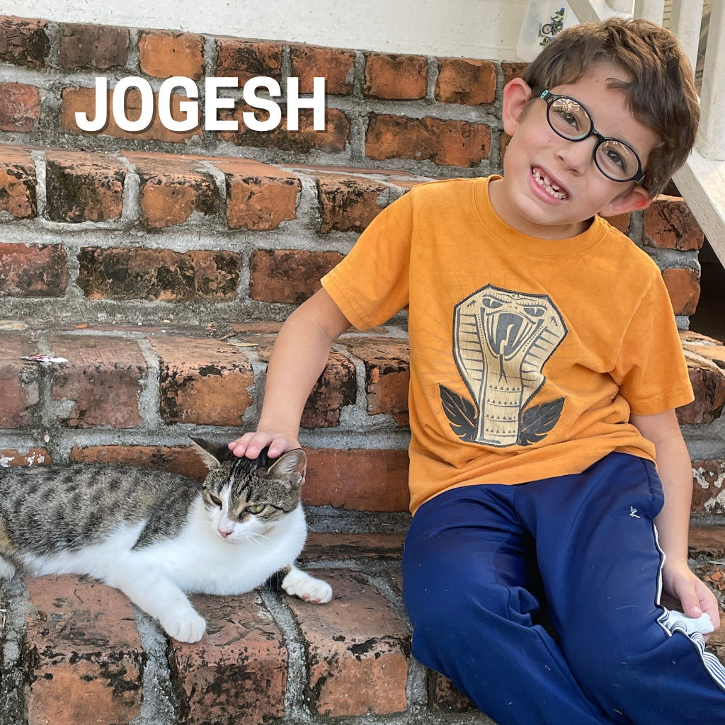 Young boy wearing glasses sitting on stairs petting cat.