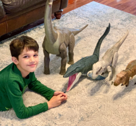Young boy lining up his toy dinosaurs