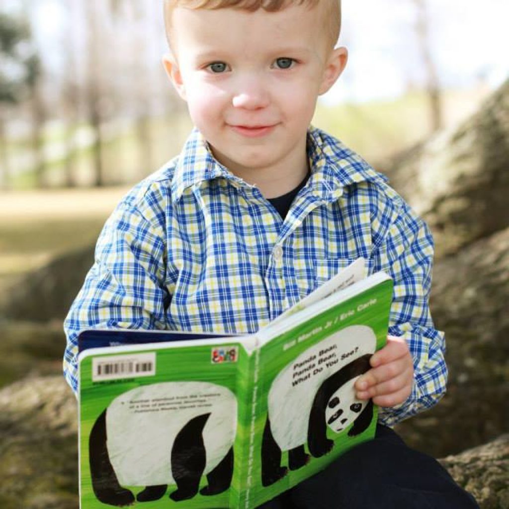 Boy Reading Boy reading book
